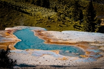 Acidic Hot Spring in Yellowstone National Park  x