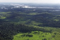 Aerial picture of the Amazon rain forest 