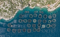 Aerial shot of seafood farms by Bernhard Lang 