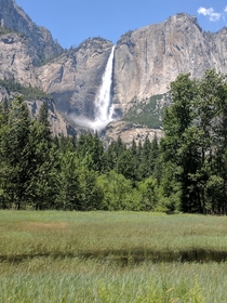 After  years Yosemite falls is absolutely gushing 