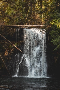 Afternoon light in Silver Falls OR 