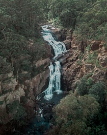 Agnes Falls - At  meters the largest single span waterfall in Victoria Australia 