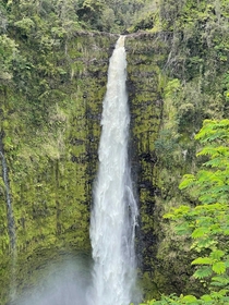 Akaka Falls Big Island Hawaii 