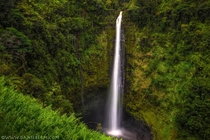 Akaka Falls Hawaii  photo by Dan Sebern