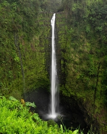 Akaka Falls The Big Island Hawaii 