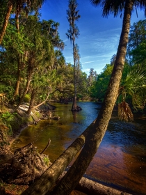 Alafia River Hillsborough County Florida  OC