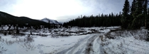 Alberta back country near cutoff creek staging area Snapped on my OnePlus  