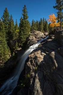 Alberta Falls Autumn - From my hike last Saturday in Rocky Mountain National Park Colorado USA 