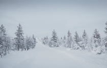 All the pretty colours posted in this sub are amazing but I think we also need Earth Porn devoid of colour too Heres a Winter Finnish landscape 
