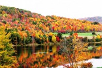 Allegany State Park NY - Fall  - 