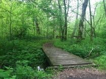 Along Creekside Trail at Clear Creek Metro Park in SE Ohio 