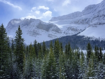Along the Icefield Parkway in the Canadian Rockies 