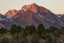 Alpenglow in the Eastern Sierras 