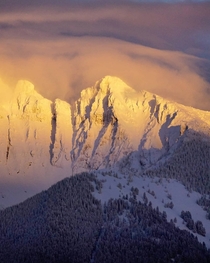 Alpenglow on Montanas Mission Mountains 