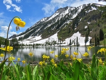 Alpine lake in the Rocky Mountains 
