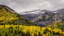 Alpine Loop Utah  by Rick Mower