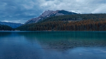 Alpine Reflections Banff National Park OC 