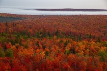 Amazing fall colors over Minnesota 