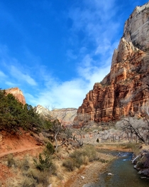 Amazing rivers and red rocks Zion National Park UT USA 