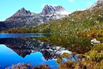 Amazing vegetation around Dove Lake Cradle Mountain-Lake St Clair National Park Tasmania AU 