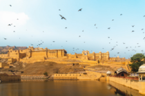 Amber Fort Rajasthan INDIA