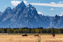 America in picture form Grand Tetons National Park Wyoming 