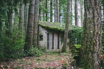 An abandoned cabin in the woods WA