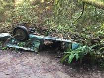 An abandoned car wreck I found while hiking in California