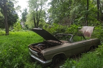 An Abandoned Chevy Impala in Boyds MD 