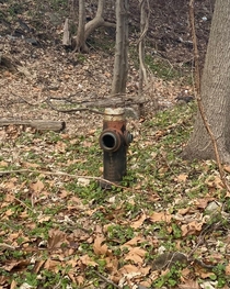 An abandoned fire hydrant on my walk through Pelham Bay Park to City Island The Bronx NYC
