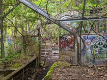 An Abandoned Greenhouse on the North Shore of Long Island