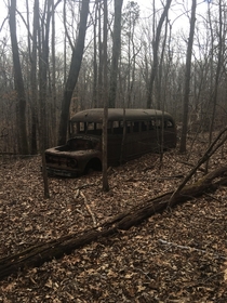 An abandoned school bus in LBL Stewart County TN  resolution when transferred from iPhone to computer