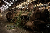 An abandoned steam locomotive in Hungary