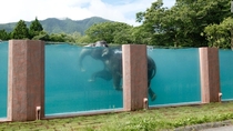 An Asian elephant Elephas maximus swims at its brand new enclosure in Japan 