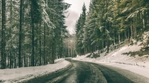 An Austrian Forest Road  Photographed by Paul Gabronis