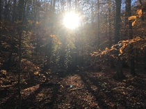 An autumn hike through the woods of Eastern Kentucky 