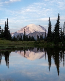 An early morning in Mount Rainier National Park The sound of elk bugling and birds chirping made this peaceful morning complete 