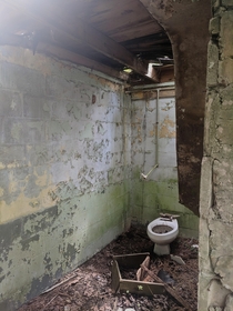 An exposed bathroom of an abandoned s drive-in movie concession stand in Canton GA that is now one with the local forest 