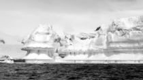 An iceburg in Antarctica 