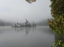 An island emerges from the fog in Algonquin Park 