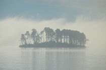 An Island Surrounded by Morning Fog in Lake Murray SC Taken from the shore of Dreher Island State Park - 