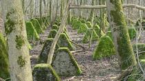 An old antitank barrier in Germany overgrown with moss