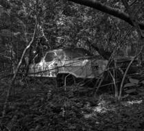 An old Buick left to rust in the woods
