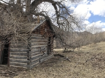 An old cabin we found on a hike