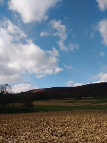 An open field during the fall in Lycoming County Pa OC x