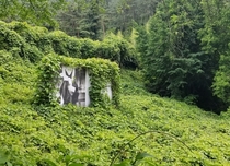 An overgrown advertisement in an abandoned amusement park in South Korea 