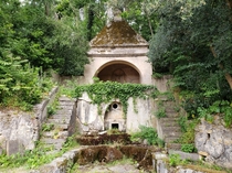An overgrown forest ruin in the botanical gardens of Coimbra Portugal