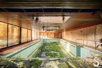 An overgrown indoor swimming pool  By Michael Schwan