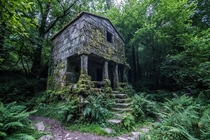 An overgrown structure deep in the forest of Galicia Spain  by Francisco Lopez