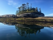 An unnamed island in Broughton Archipelago British Columbia Canada 